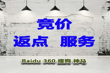 竞价托管服务案例解析